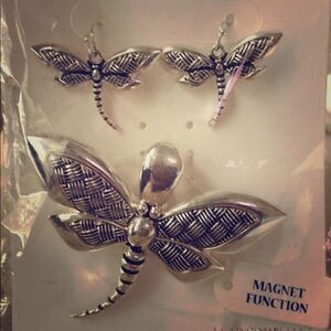 Silver Earrings and brooch dragonfly